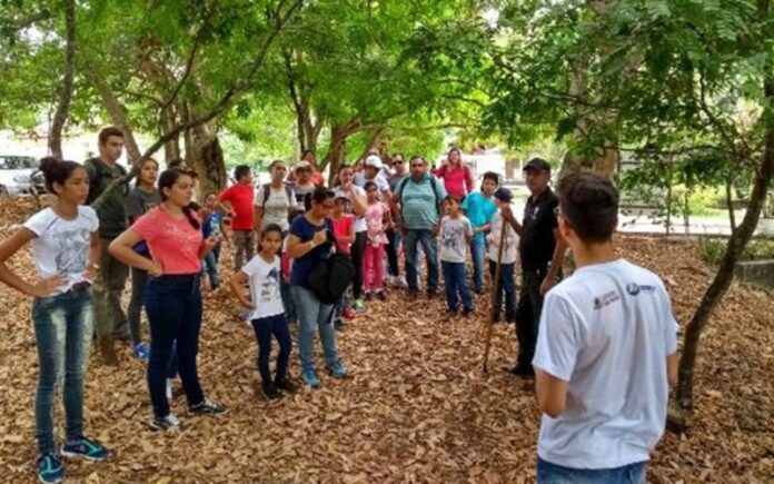 Projeto de férias do Jardim Botânico promove atividade “Uma noite no Jardim” neste sábado (20)