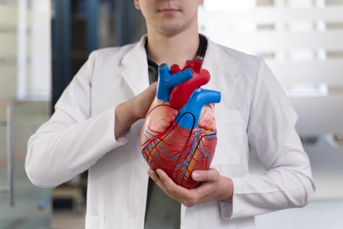 VOZES DO CORAÇÃO: pesquisadores da Paraíba usam inteligência artificial para diagnosticar a insuficiência cardíaca