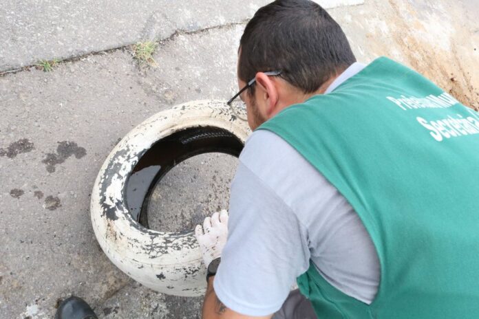 Aumento alarmante de casos de dengue no Brasil gera ações emergenciais