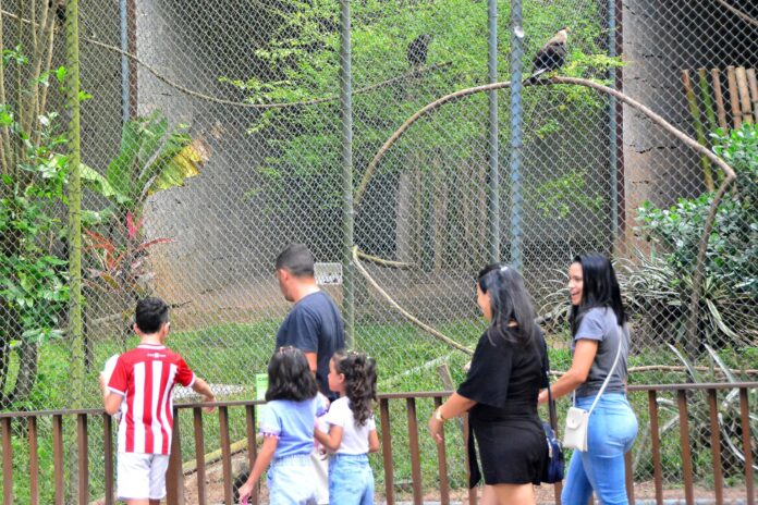 Bica abre durante o Carnaval e é opção de passeio em João Pessoa