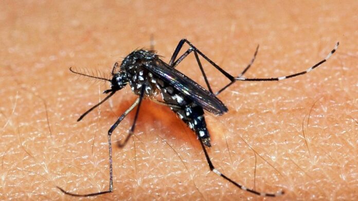 Cabedelo amplia vacinação contra a Dengue para todas as Unidades de Saúde do município