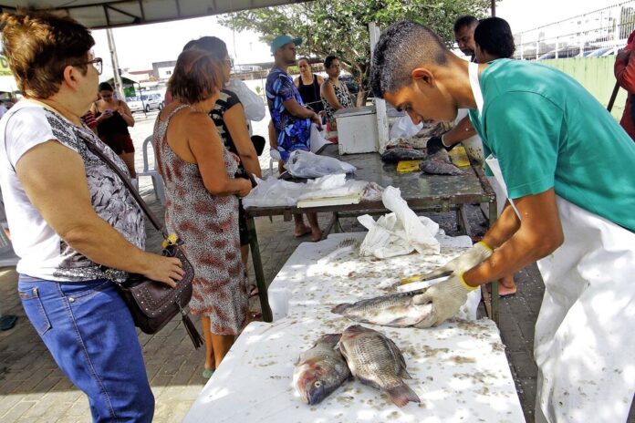 peixe semana santa