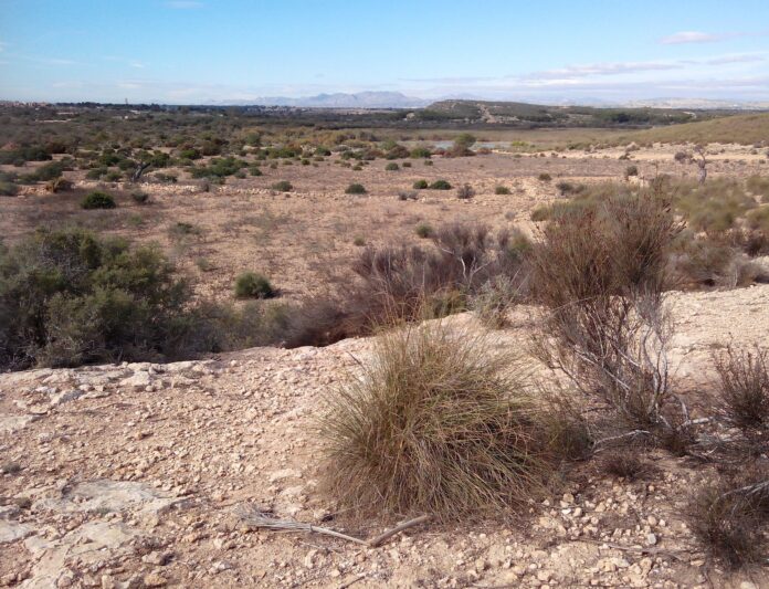 TCE cobra planos de ação a gestores para o combate à desertificação