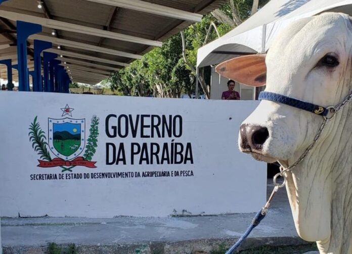 MaisPB • Exposição Paraibana de Animais e Produtos Industriais abre neste domingo