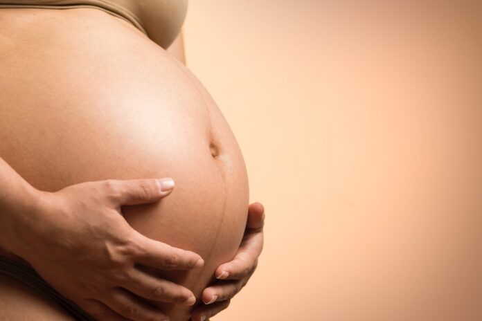 Estado recomenda uso de repelentes em gestantes para prevenir febre oropouche