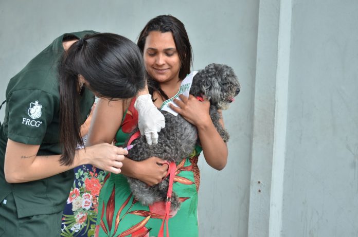 JP: ‘Dia D’ de vacinação antirrábica de cães e gatos ocorre no próximo sábado