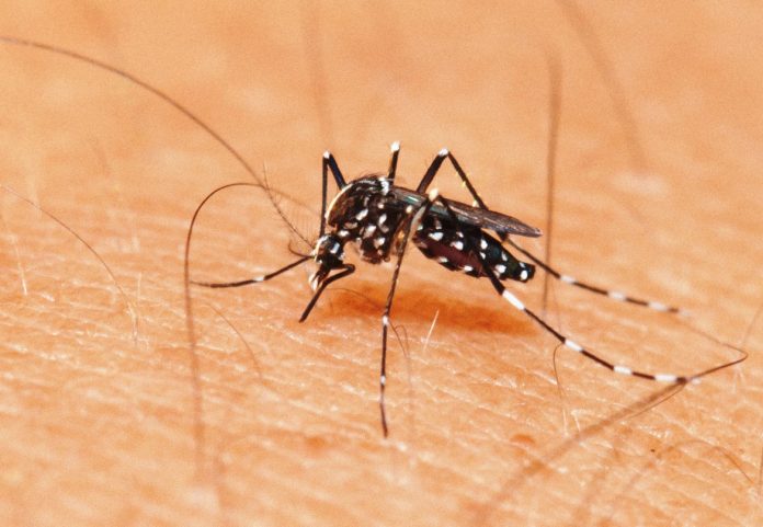 Governo anuncia vacina 100% nacional contra a dengue no SUS em 2026