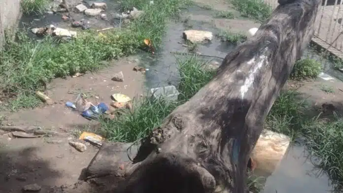 Abrigo de indígenas no Centro de João Pessoa enfrenta suspeita de surto de leptospirose