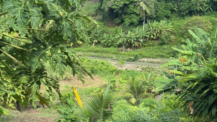 Corpo de homem que desapareceu após cair em galeria pluvial é encontrado a 2km de distância