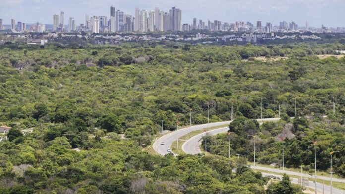 mais de 100 hectares são embargados por desmatamento ilegal na Paraíba