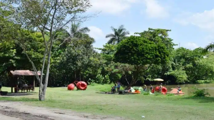 Dicas de passeio para fazer ao ar livre nas férias escolares