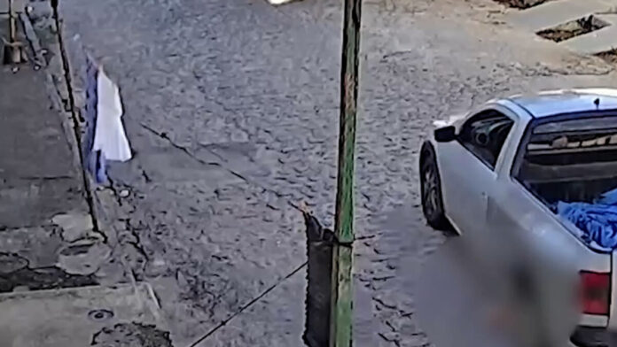 Homem é indiciado por atropelar e matar cachorro em Campina Grande