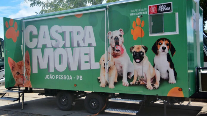 João Pessoa tem 500 vagas para castração gratuita de animais; veja como agendar