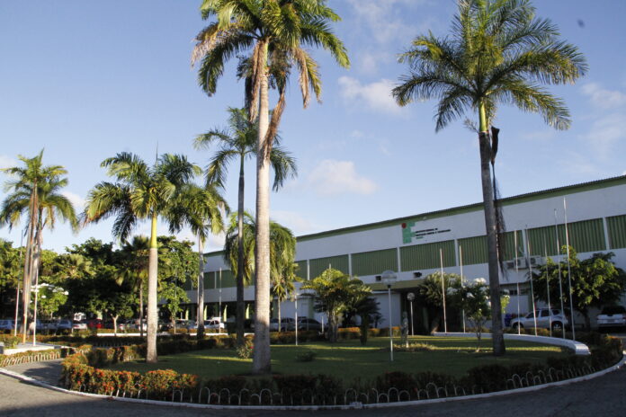 IFPB abre 376 vagas para cursos superiores em processo seletivo especial