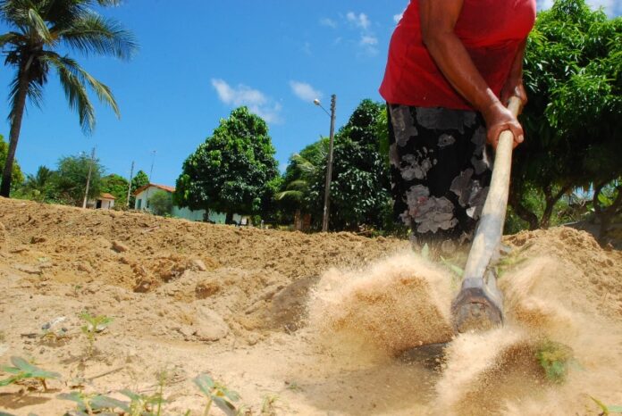 Incra cria novo assentamento para mais de 300 famílias em Pedras de Fogo