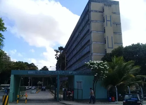 
				
					Picadas de escorpião geram mais de 2 mil atendimentos na Paraíba em 2025
				
				