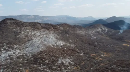 
				
					Inmet emite alerta para baixa umidade do ar em 54 cidades do Sertão
				
				