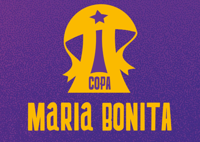 onde assistir, clubes participantes e regulamento