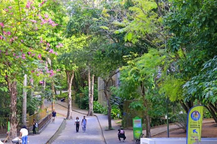parque zoobotanico arruda camara bica (1)