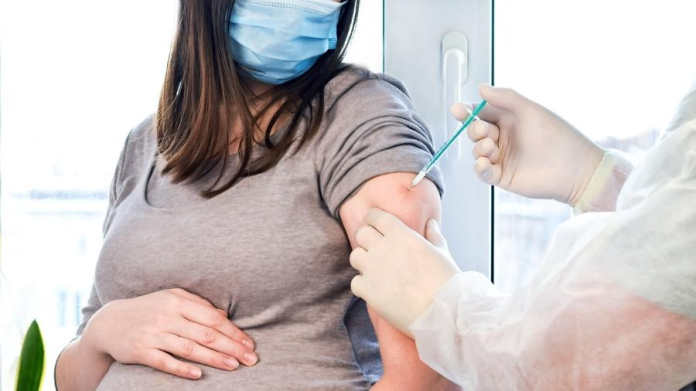 Paraíba recebe doses de vacina para proteger gestantes e recém-nascidos contra vírus respiratório